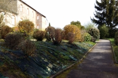 20180411_105953_1528194574281