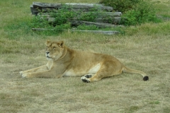 DSC08491