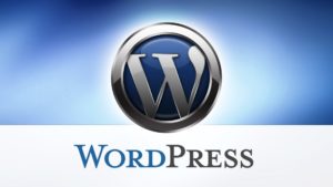 Prise en main WP